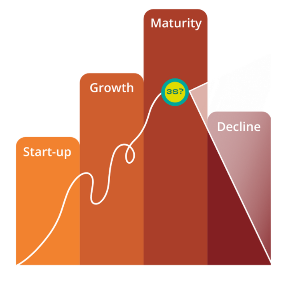 Start-up, increase, growth, increase, maturity, 3S (sustain, scale, sell) or decline. 